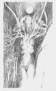 Hekate manifesting as three horse skulls (2019) - Fine art print